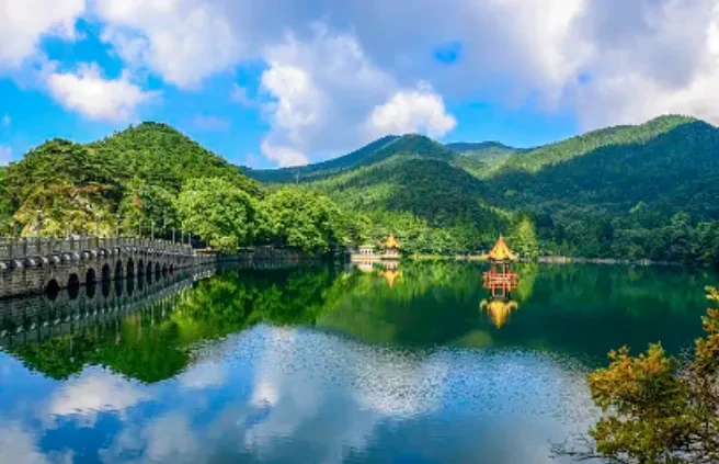 a8cfbd62ac23508a10e826d8c49ec94a-sz_493762