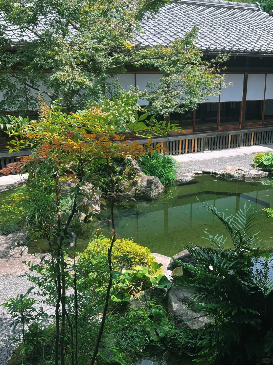 a952bdfbb0e469d5e9e22b12d84d2eb2-sz_3862469 a952bdfbb0e469d5e9e22b12d84d2eb2-sz_3862469