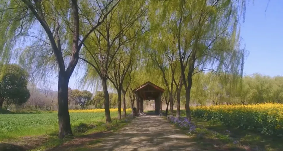 a9de48712ea85197026933412bf7dfc4-sz_162086