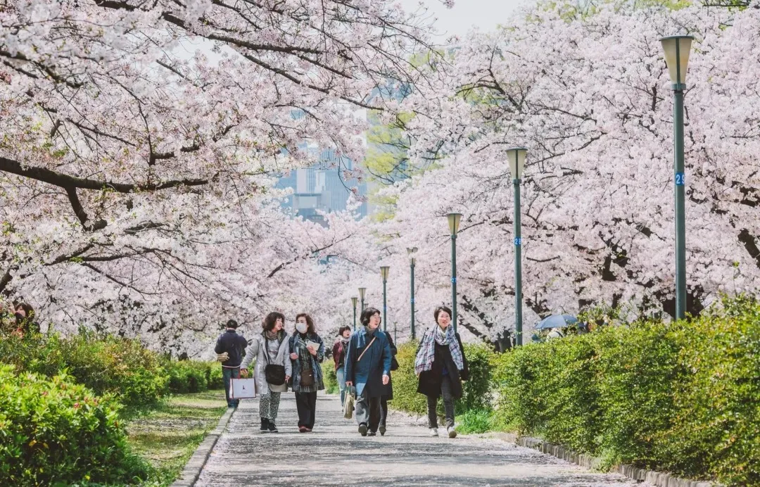 a9f3040b43718e2ca98828f95f0d660c-sz_671984 a9f3040b43718e2ca98828f95f0d660c-sz_671984