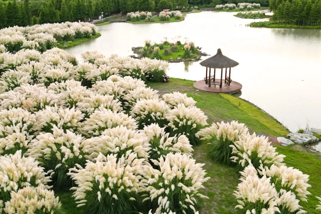 aa3d5c68b2f3dfb4e54d17c1fcec0b1d-sz_202280 aa3d5c68b2f3dfb4e54d17c1fcec0b1d-sz_202280