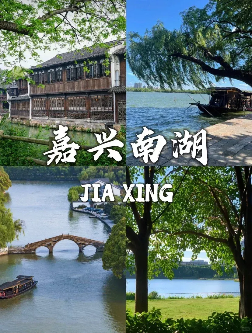 aa648f0d2f9dea4f2441c771ae0e6e8d-sz_2306175-1