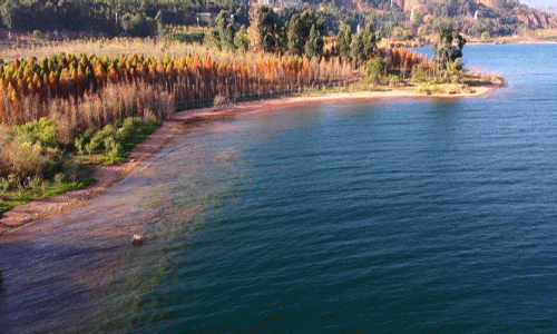 aa7a24a15e0f4b5ed4e9bf472f348ba5-sz_8218307 aa7a24a15e0f4b5ed4e9bf472f348ba5-sz_8218307