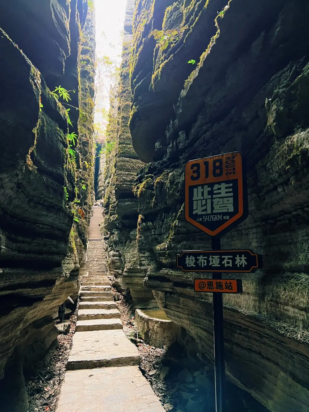 aaa1a9c48b800c09bfab516881a2a431-sz_298189-1 aaa1a9c48b800c09bfab516881a2a431-sz_298189-1