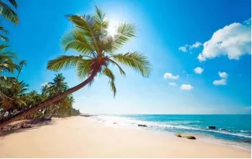 ab55df874305c05e55f867a81c22f721-sz_206252-2 ab55df874305c05e55f867a81c22f721-sz_206252-2