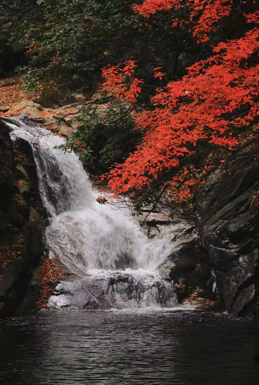 ab5a488cd25ea3454d455f0dc7d7d17a-sz_2297532