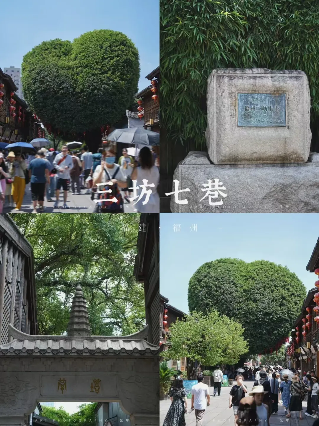 ab61e88bb9006ad86b7d4d78a7b5d405-sz_1524866