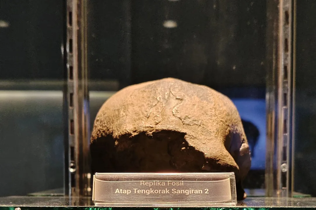 aba1953330b9cb720c871a2a5dab1b31-sz_1343546 aba1953330b9cb720c871a2a5dab1b31-sz_1343546