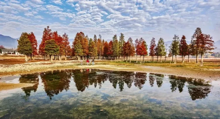 ac63ccaf91731ed5a5953eba429b4a88-sz_154774 ac63ccaf91731ed5a5953eba429b4a88-sz_154774