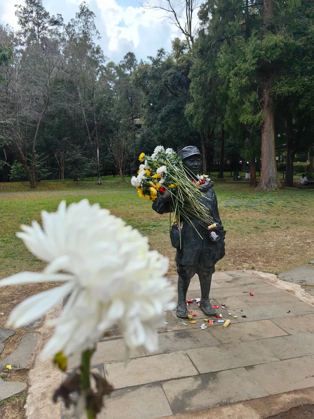 ac66dc19024945c970d8904e613b472a-sz_3094030