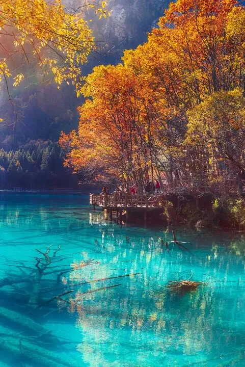 acaa733d6c243a2d67b099e78097d9b9-sz_115683 acaa733d6c243a2d67b099e78097d9b9-sz_115683