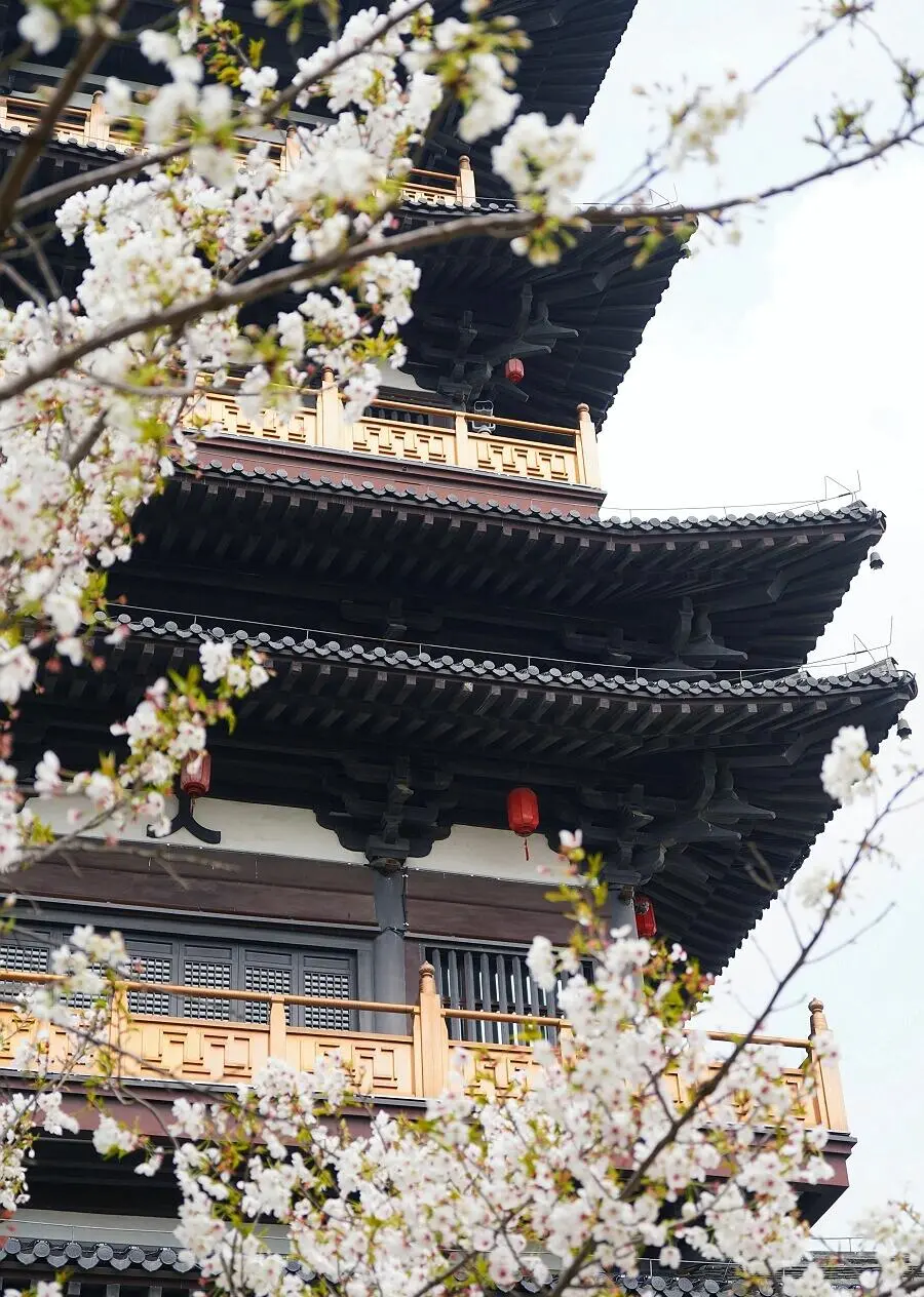 acc6b20ae7c3ca3ebc4963695fd88121-sz_213367 acc6b20ae7c3ca3ebc4963695fd88121-sz_213367