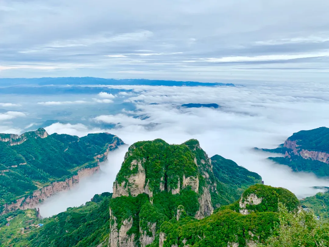 ad4dc41a365b043f9141c076ad4294ad-sz_2292924