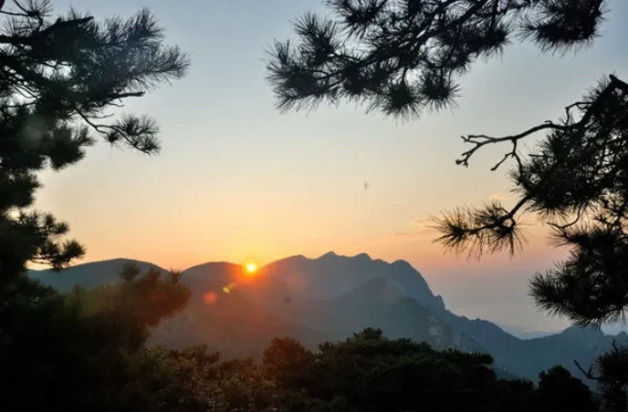 ada712ce85ebb804b4b2d38868cc9075-sz_480724