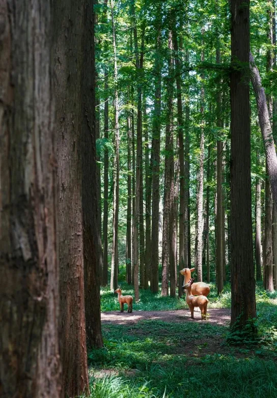 adbe9011cb2b9aebd9885f2532464d8d-sz_409987 adbe9011cb2b9aebd9885f2532464d8d-sz_409987