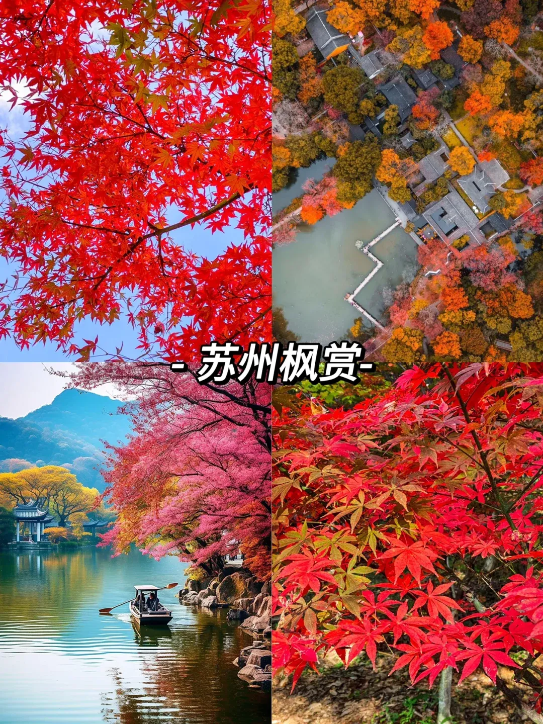 ae2154dd7a4239551c844eda7a2738c7-sz_4246095