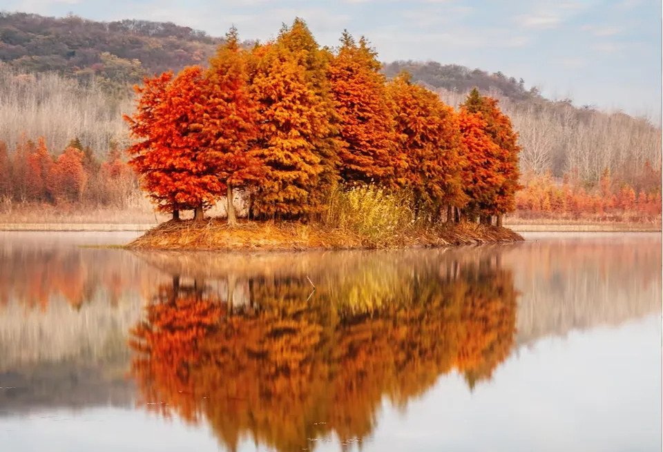 ae37e566199d60f497bb890605245fd6-sz_636237-1