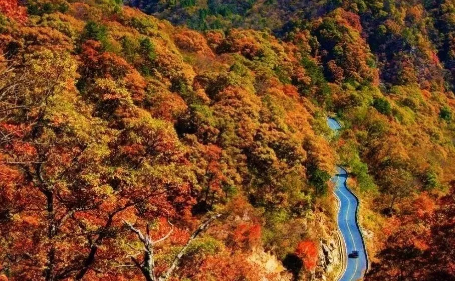 af3a41a8e22232db80d7d91349dcbf83-sz_204756 af3a41a8e22232db80d7d91349dcbf83-sz_204756