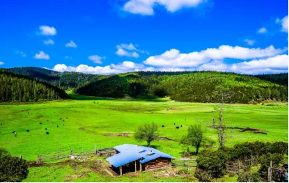 afa018bc2127389b927e7e176b12c4ea-sz_437633