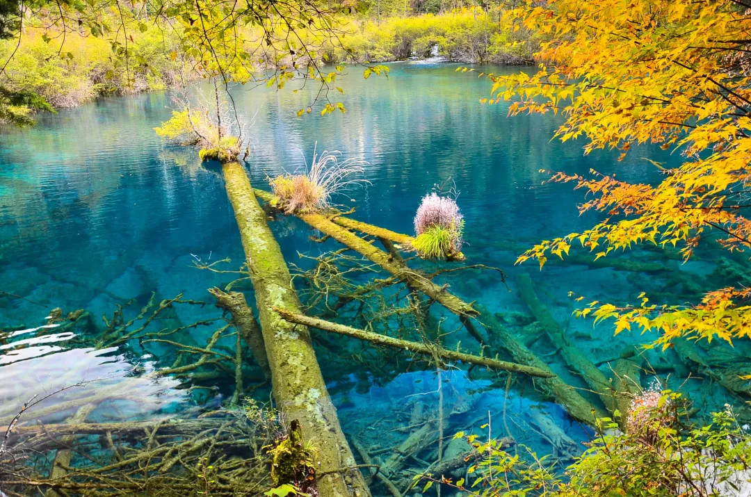 affc9848487bbf9a32a9411d79926e0a-sz_1098637-4