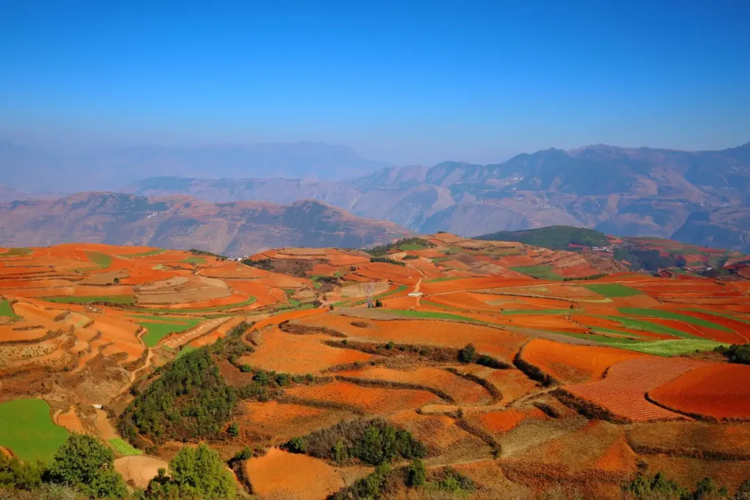 b0222cba4675e7ca27ef6dcf14c9a938-sz_3712234 b0222cba4675e7ca27ef6dcf14c9a938-sz_3712234