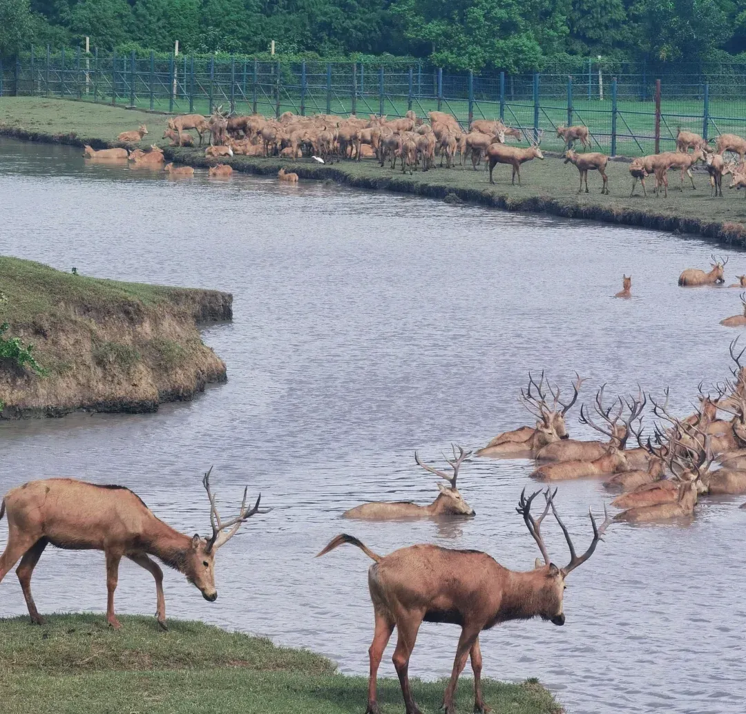 b0399c25fe5977c1740da13003dca789-sz_2009269