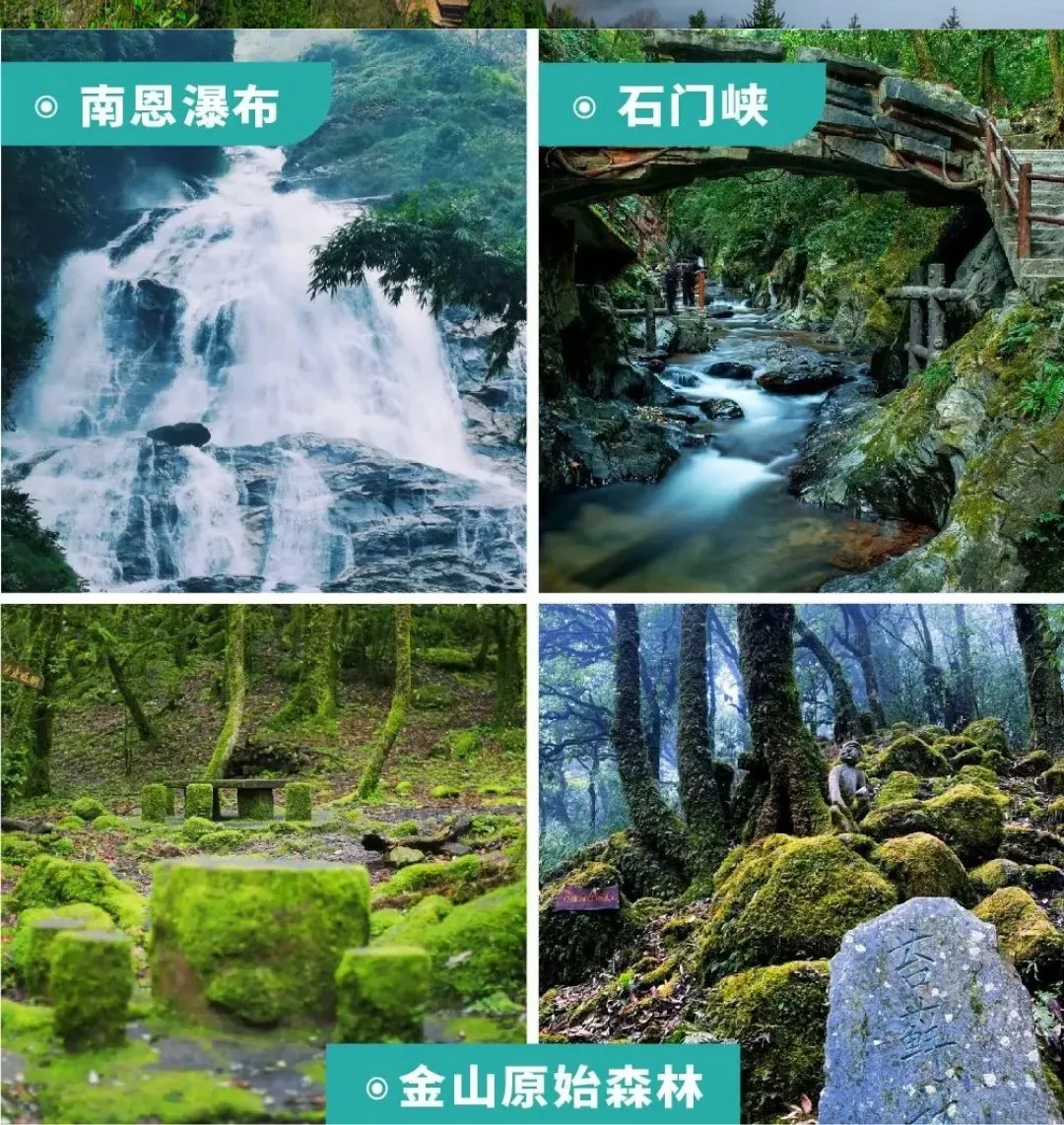 b054b5a6a51e53c8c38a4fa180c7055d-sz_448795-1