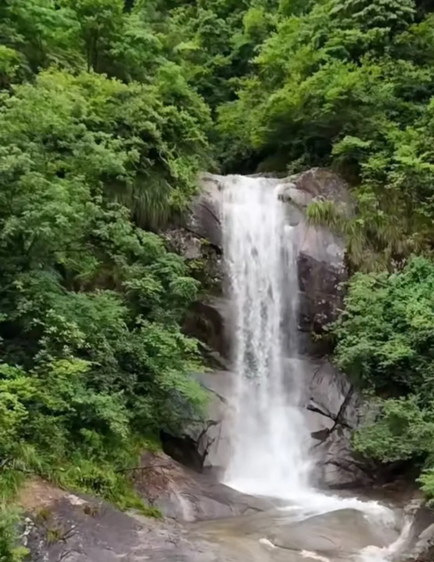 b055b17de5073e82daef3ea7f7c77097-sz_1544012