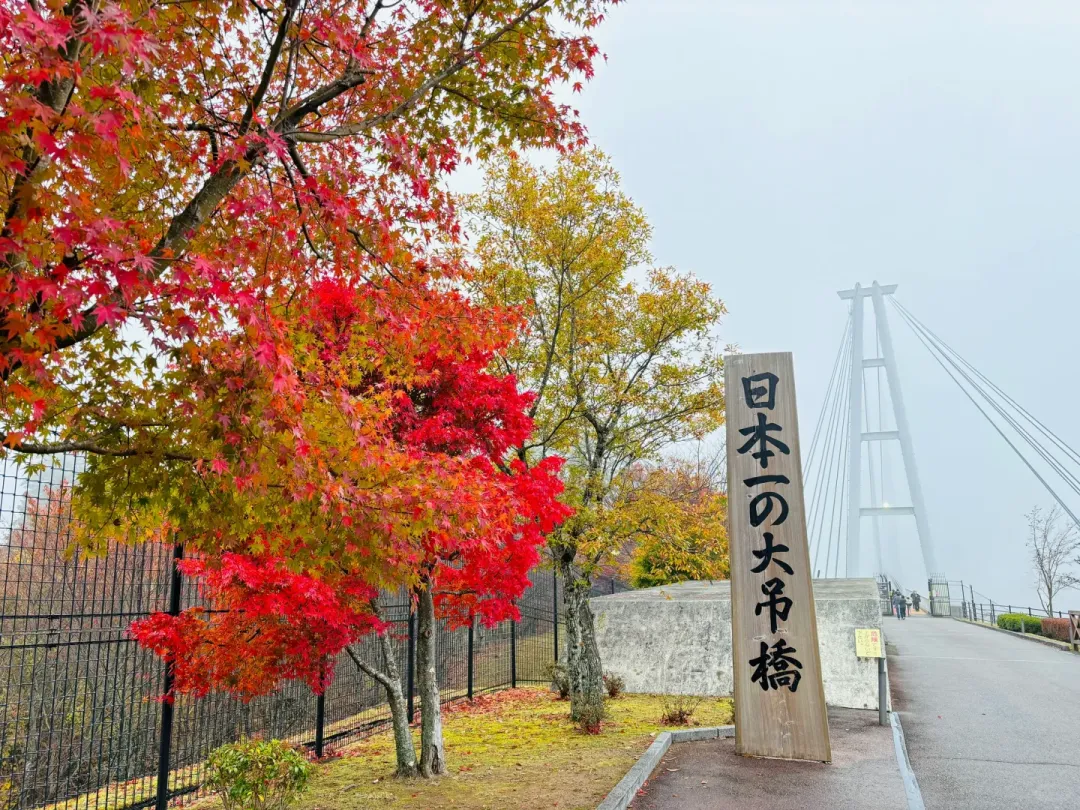 2-8人私家团【九州全景】福冈熊本宫崎鹿儿岛,一次玩转九州四县!7天私家环游之旅 一次搞定,全程高能!全程专车,无缝衔接,节省宝贵时间 深入当地,享用当地餐