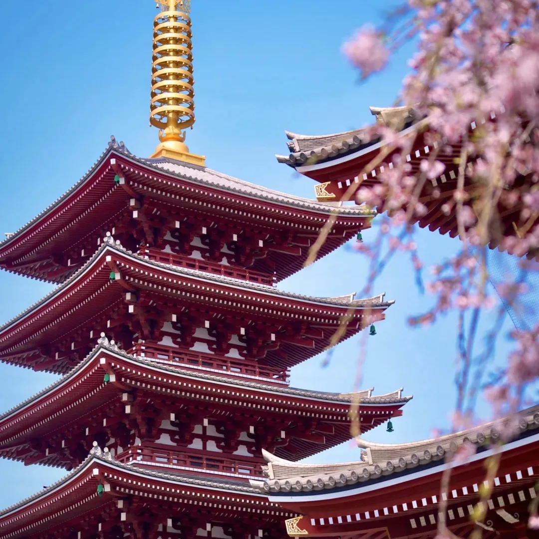 b0d07c7ae3cca9094de5cc531246bd1e-sz_435944 b0d07c7ae3cca9094de5cc531246bd1e-sz_435944