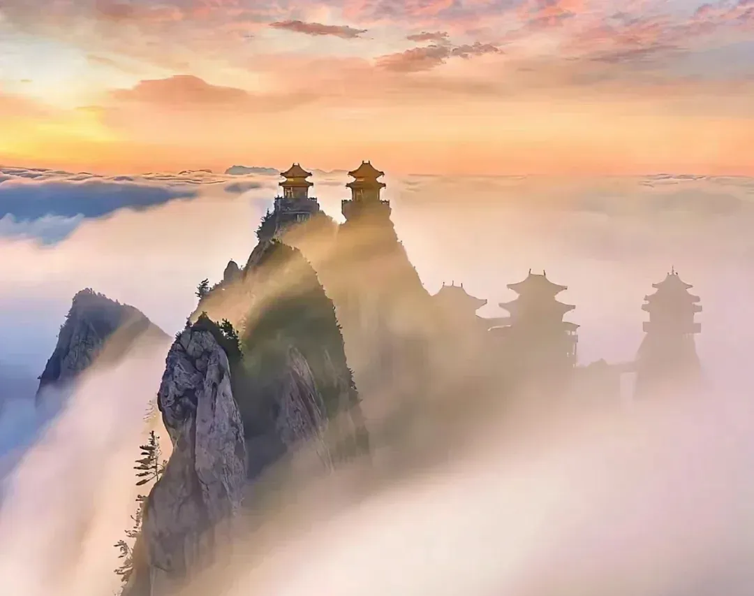 b27088b5576a57ac0c3348eca74f672d-sz_2685559