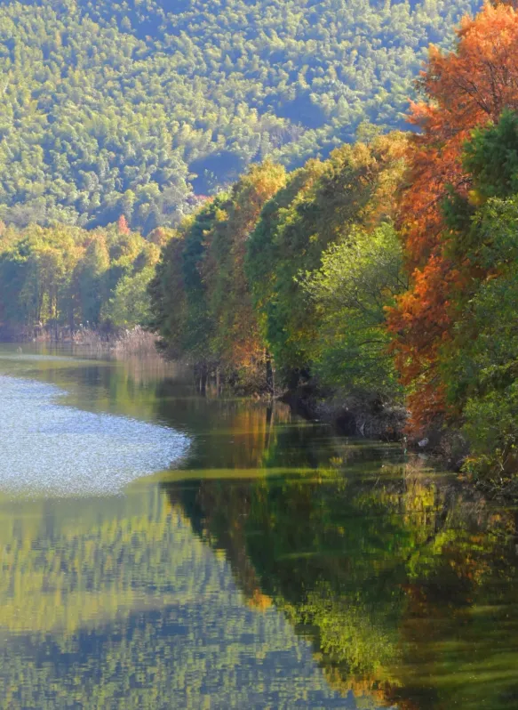 b28f09137563bf46a39e5a6026d22e28-sz_964295 b28f09137563bf46a39e5a6026d22e28-sz_964295