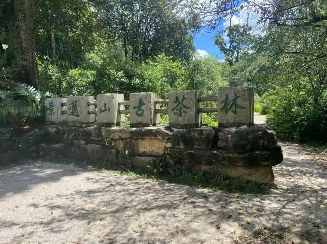 b2e81dca96cb362699adf919964e1236-sz_206182 b2e81dca96cb362699adf919964e1236-sz_206182