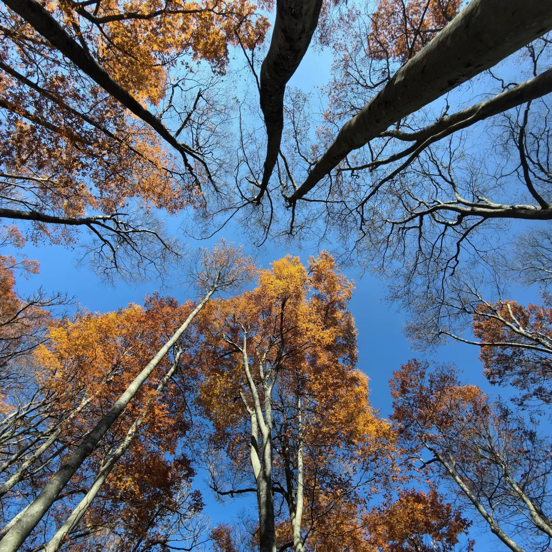 b2e8ce0d8ec96042a3c6cb44a1c12199-sz_8017314-2 b2e8ce0d8ec96042a3c6cb44a1c12199-sz_8017314-2