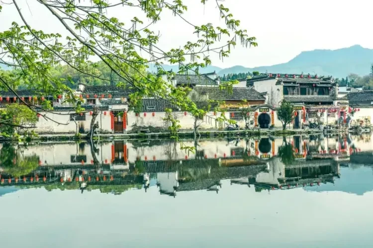 b33895d1cfaa5d1a0731c9fc69276043-sz_177421 b33895d1cfaa5d1a0731c9fc69276043-sz_177421