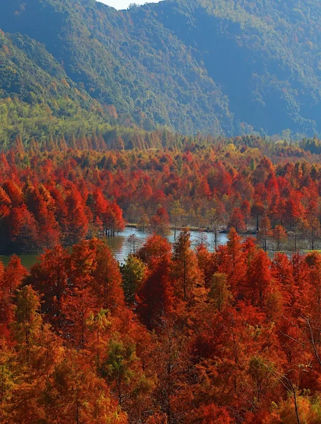 b415e8ed58928ad7ec6136c6c2d3fe88-sz_1312714 b415e8ed58928ad7ec6136c6c2d3fe88-sz_1312714