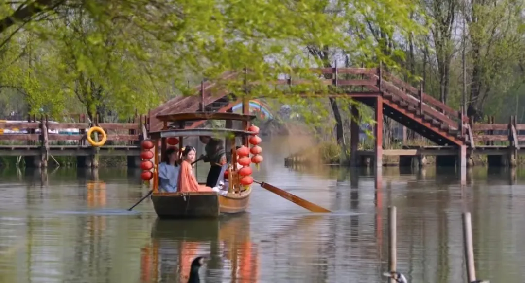 b493bb309ccef5417c9ef68bea5c3003-sz_179844