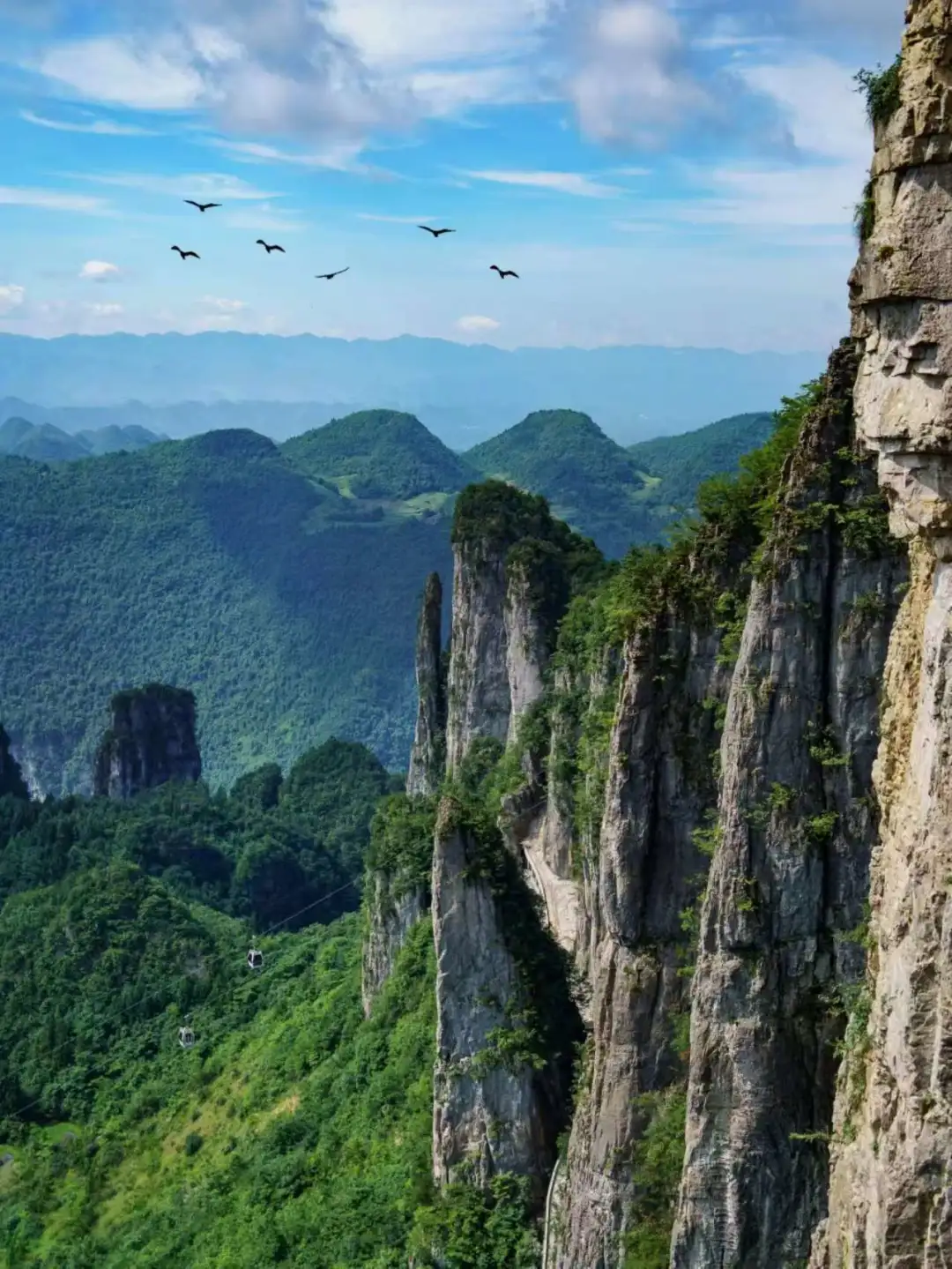 b49b23d436719b11ae74708a9daa5c54-sz_251430-2 b49b23d436719b11ae74708a9daa5c54-sz_251430-2