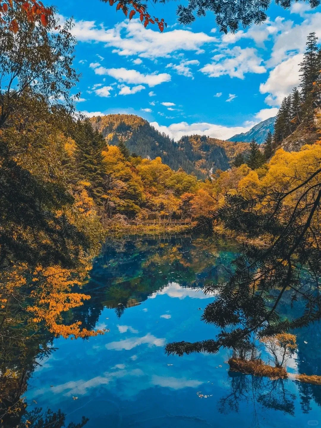 b4b1453c3538c49c1b85512745af6ed6-sz_631474 b4b1453c3538c49c1b85512745af6ed6-sz_631474