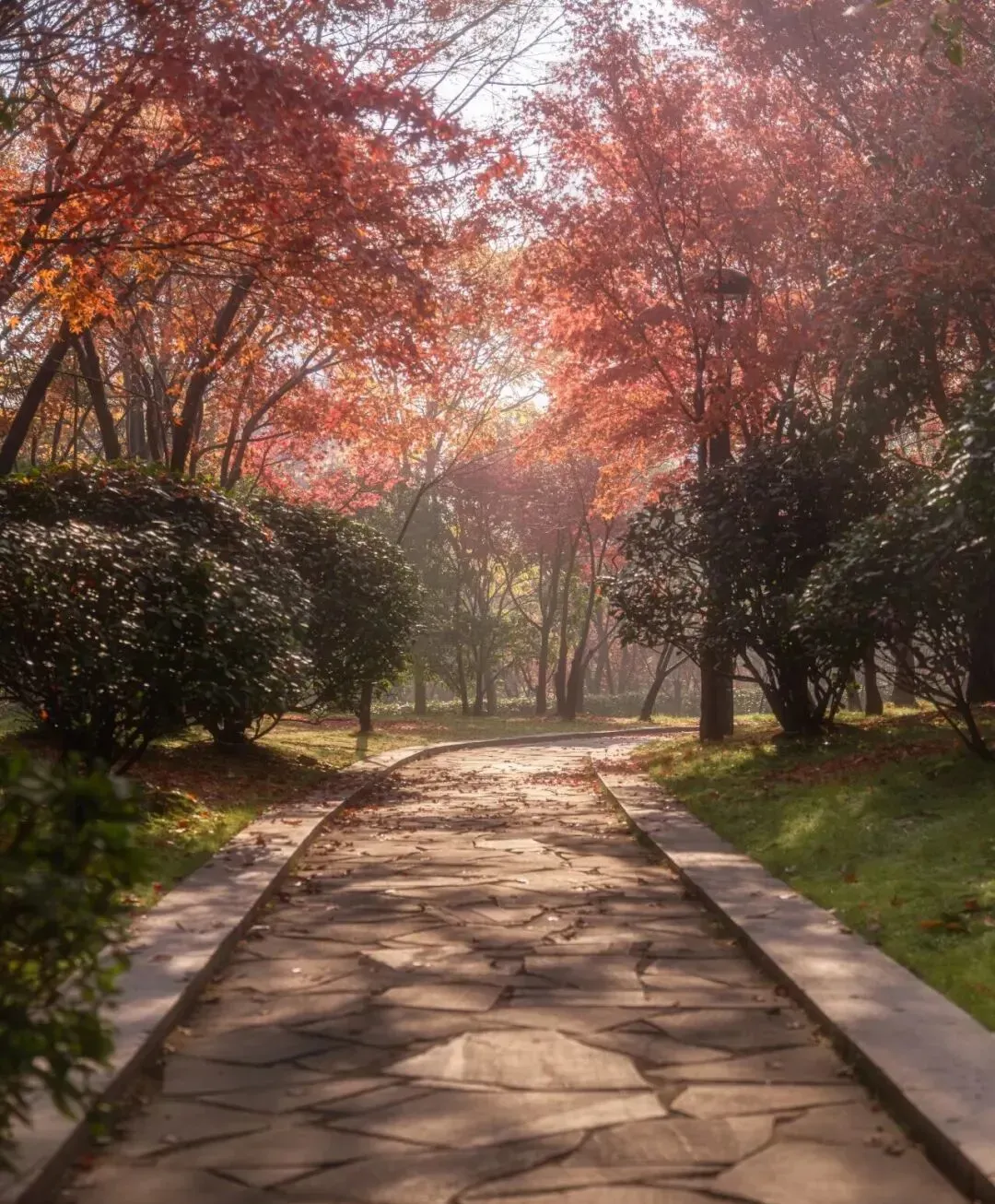 b4ddbd3fdc2ba49f9c48ce78ee6140e9-sz_3514279 b4ddbd3fdc2ba49f9c48ce78ee6140e9-sz_3514279