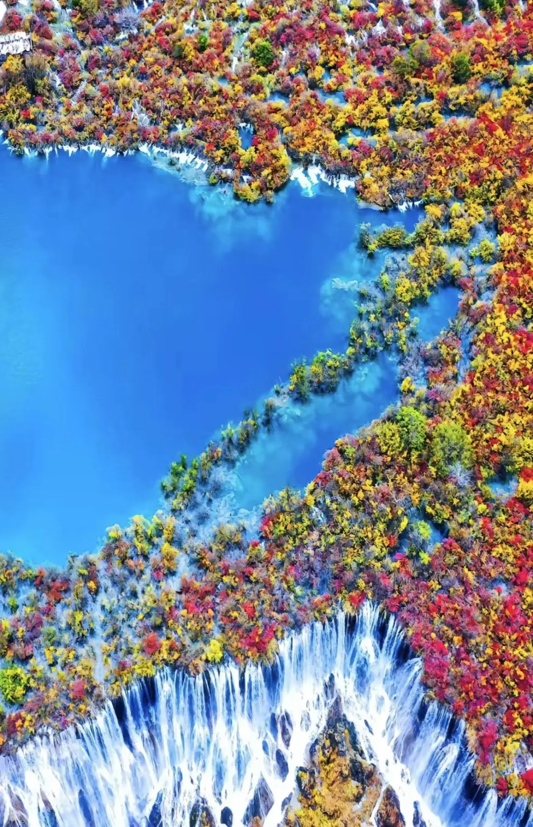 b56a4a13da87ea7de88145a4f2982f7f-sz_555733 b56a4a13da87ea7de88145a4f2982f7f-sz_555733