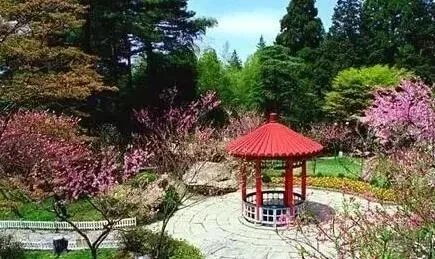 b57370db5628202a8cdf401f4387d0b0-sz_43802