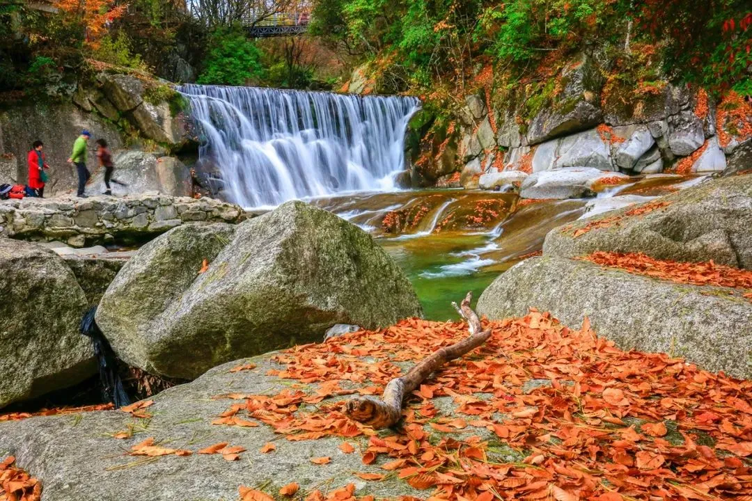 b5b36815dedbeabfb8260ddbd6eafe44-sz_254203 b5b36815dedbeabfb8260ddbd6eafe44-sz_254203