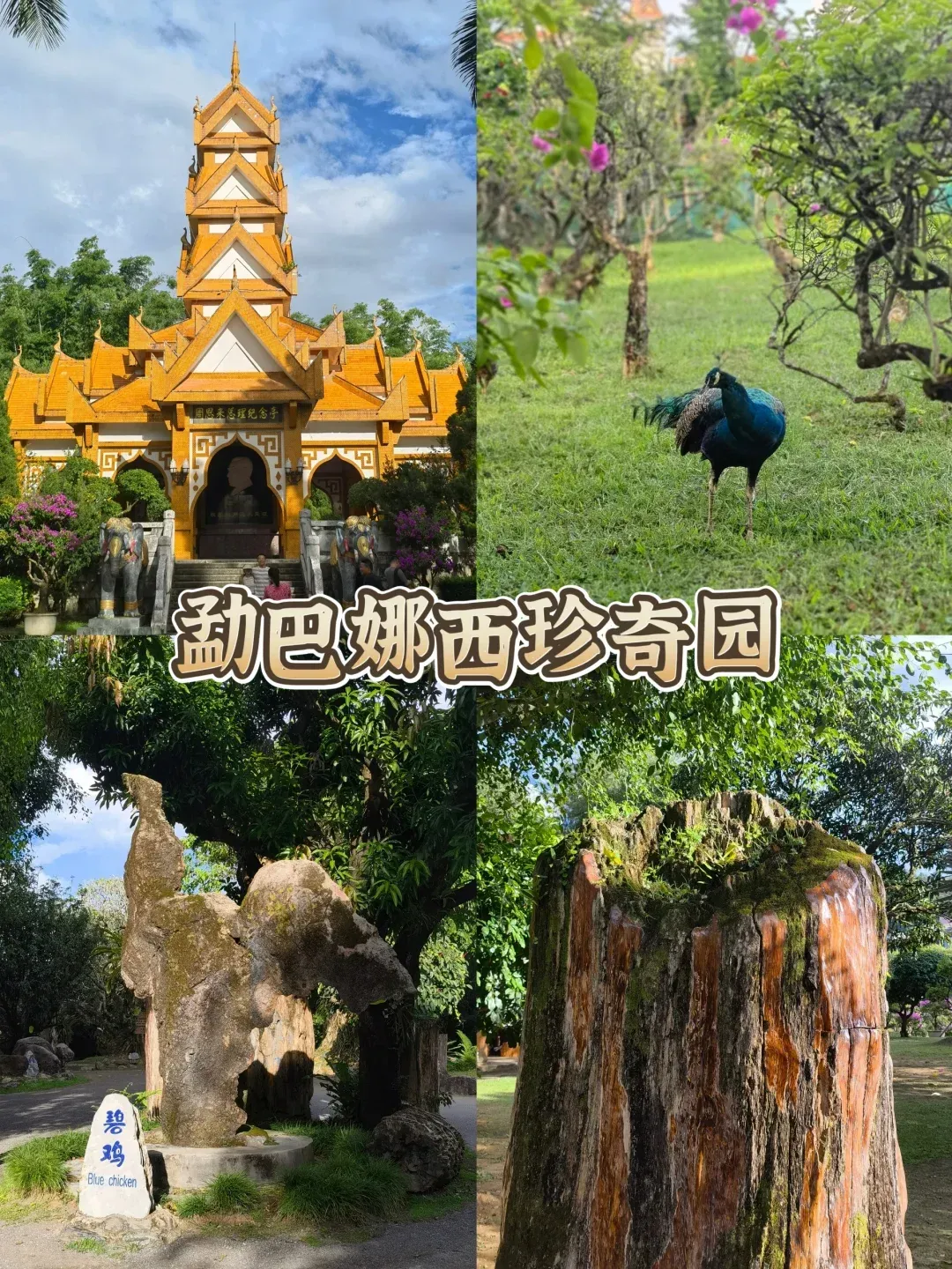 b6ad4bcefff64c801a2fae01b8b4de98-sz_3991229-4 b6ad4bcefff64c801a2fae01b8b4de98-sz_3991229-4