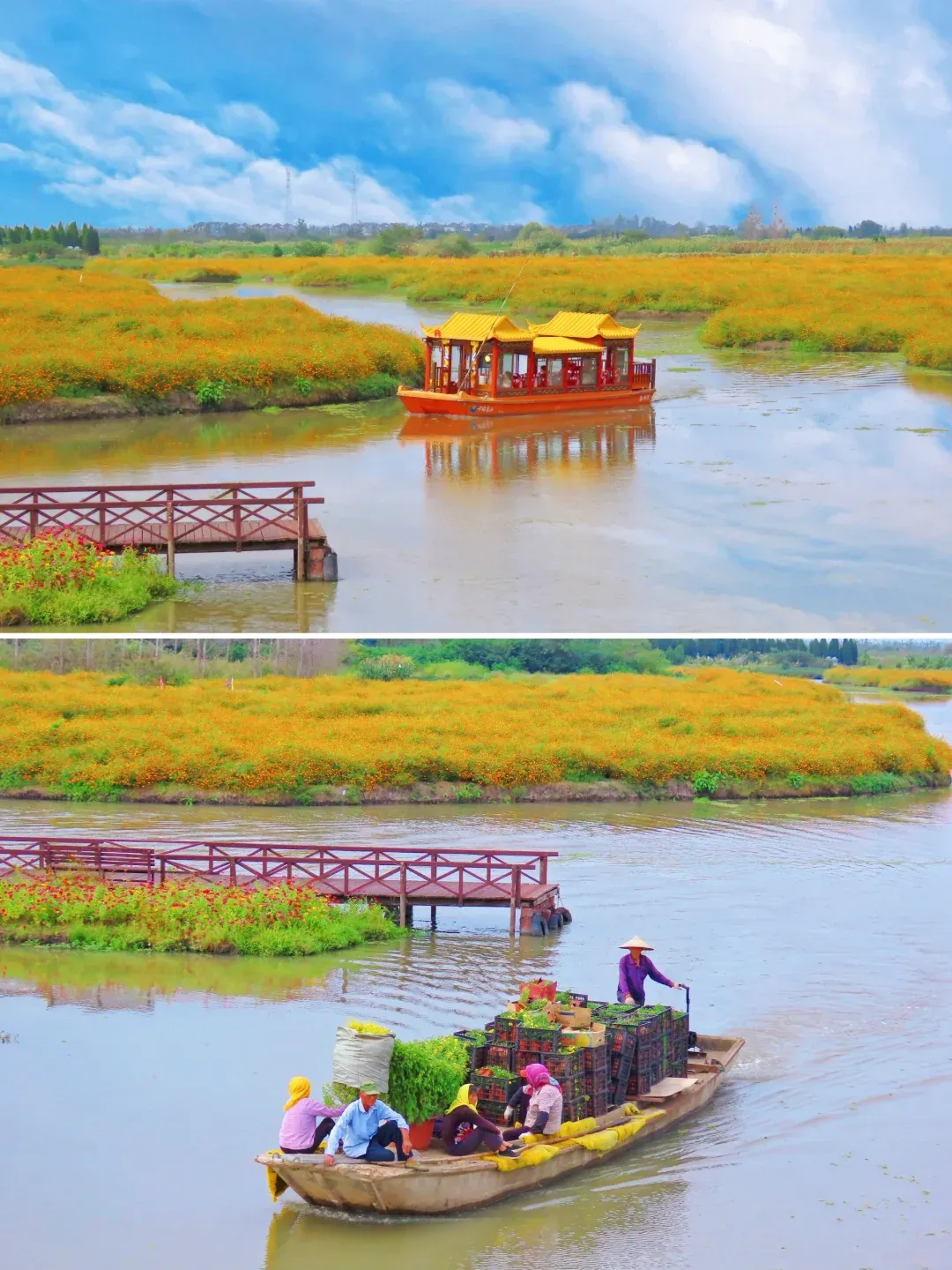 b6c277686bf2ffd8fb9fe6b2b5153f75-sz_2925626-1