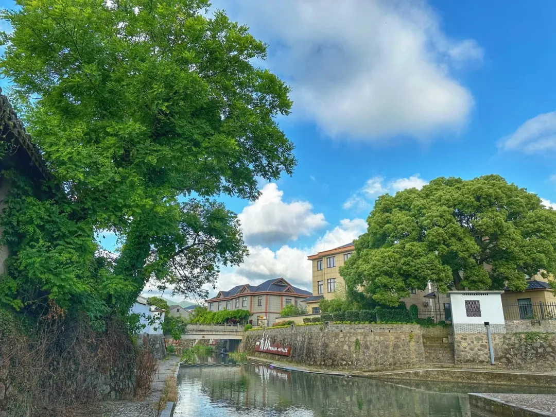 b6d89cdb246e2d23e9a6ee4686dc8c67-sz_637829