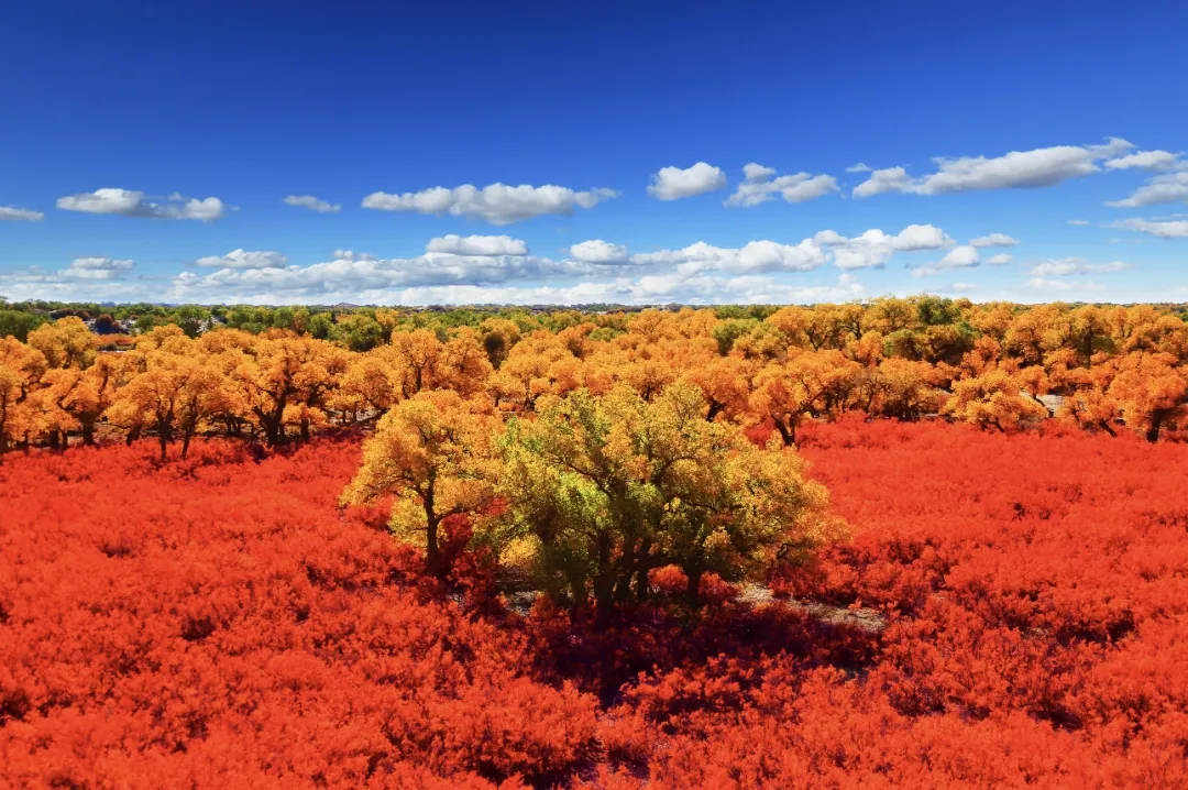 b6dcef32806f78ba8d1010bce4a58da0-sz_581532 b6dcef32806f78ba8d1010bce4a58da0-sz_581532