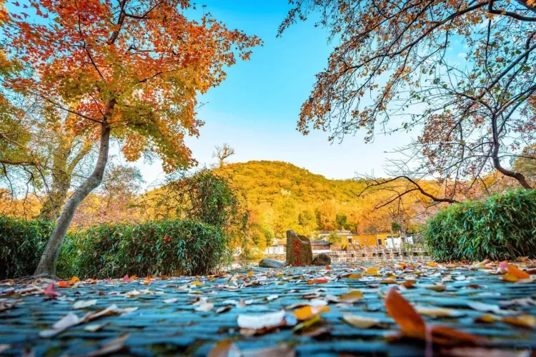 b7274e18df1e5024b9e63c4d3aee59a7-sz_4585287 b7274e18df1e5024b9e63c4d3aee59a7-sz_4585287