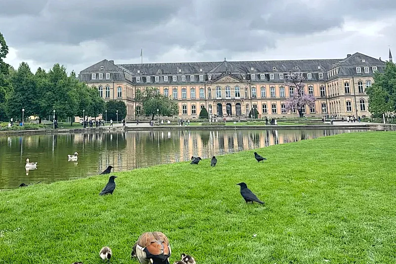 b72b5933547f1cca960864a90f634e1d-sz_1879536