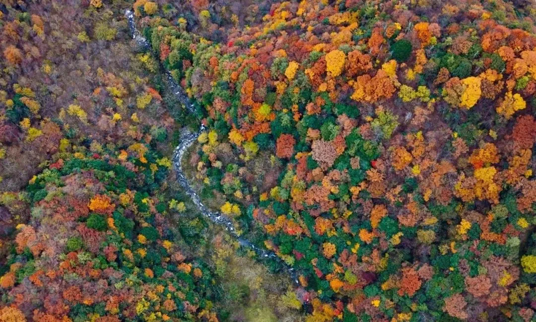 b745b9ab842b2963d1847e9592e94e74-sz_210476-2